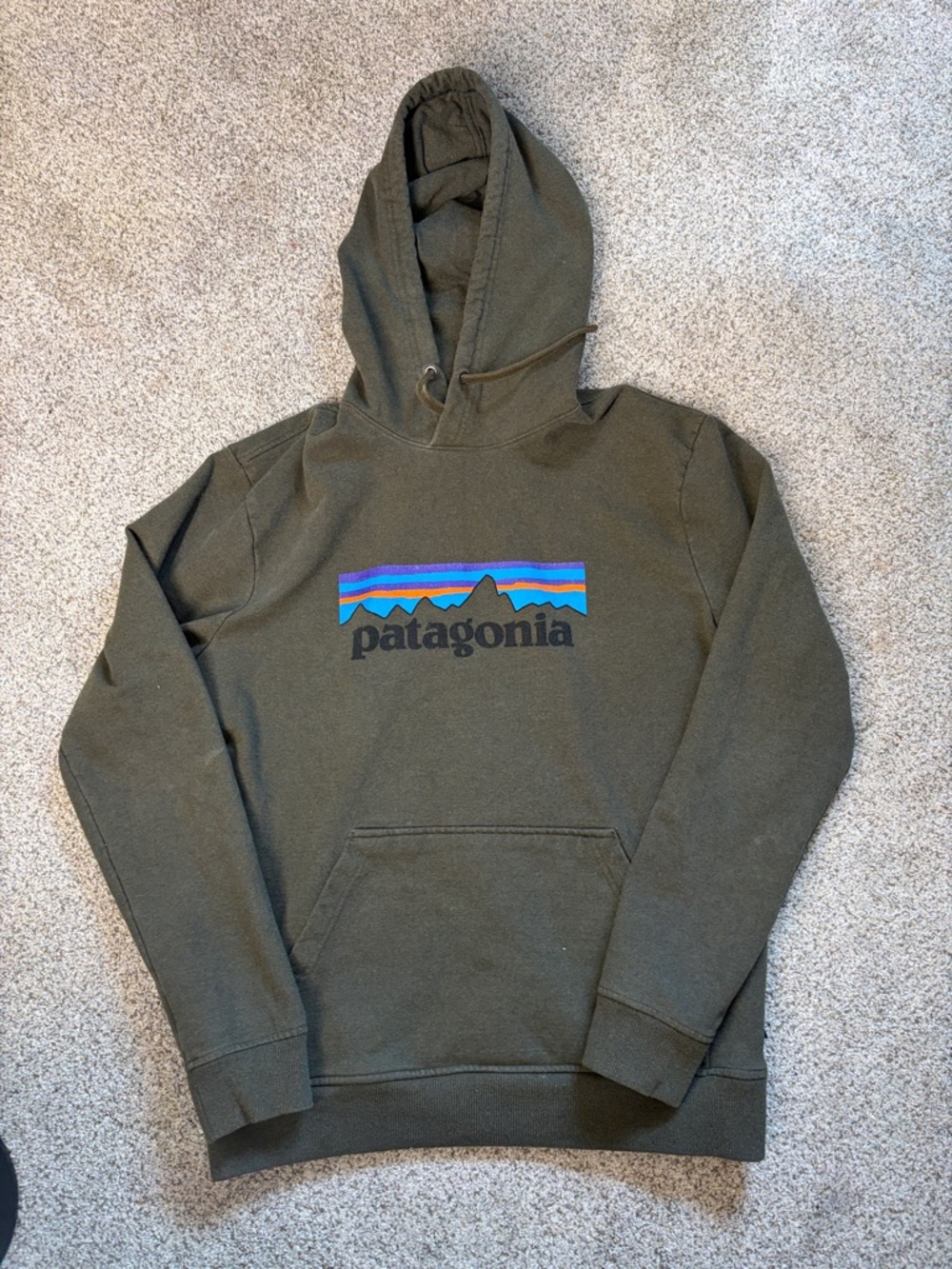 Patagonia Olive Green Hoodie with Blue & Purple Logo